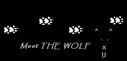 meet the wolf